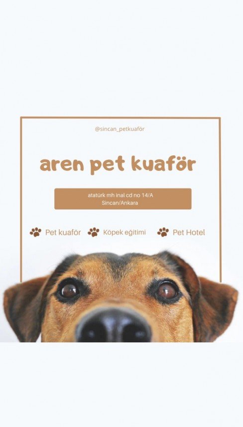 Aren Pet Kuaför 