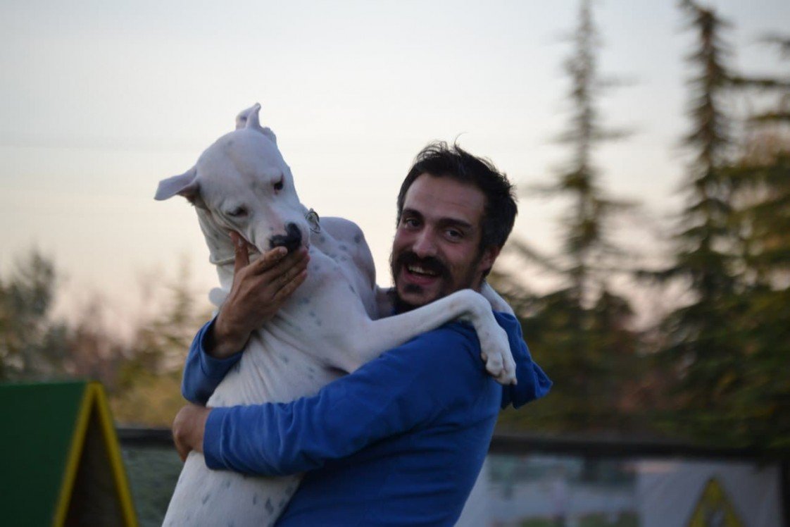 Star Köpek Eğitim Okulu