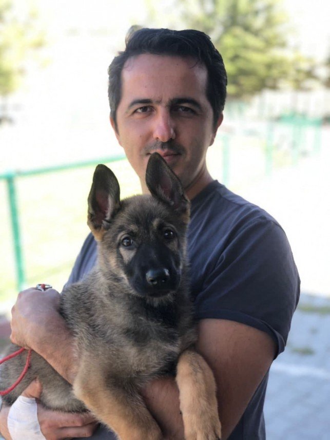 Star Köpek Eğitim Okulu