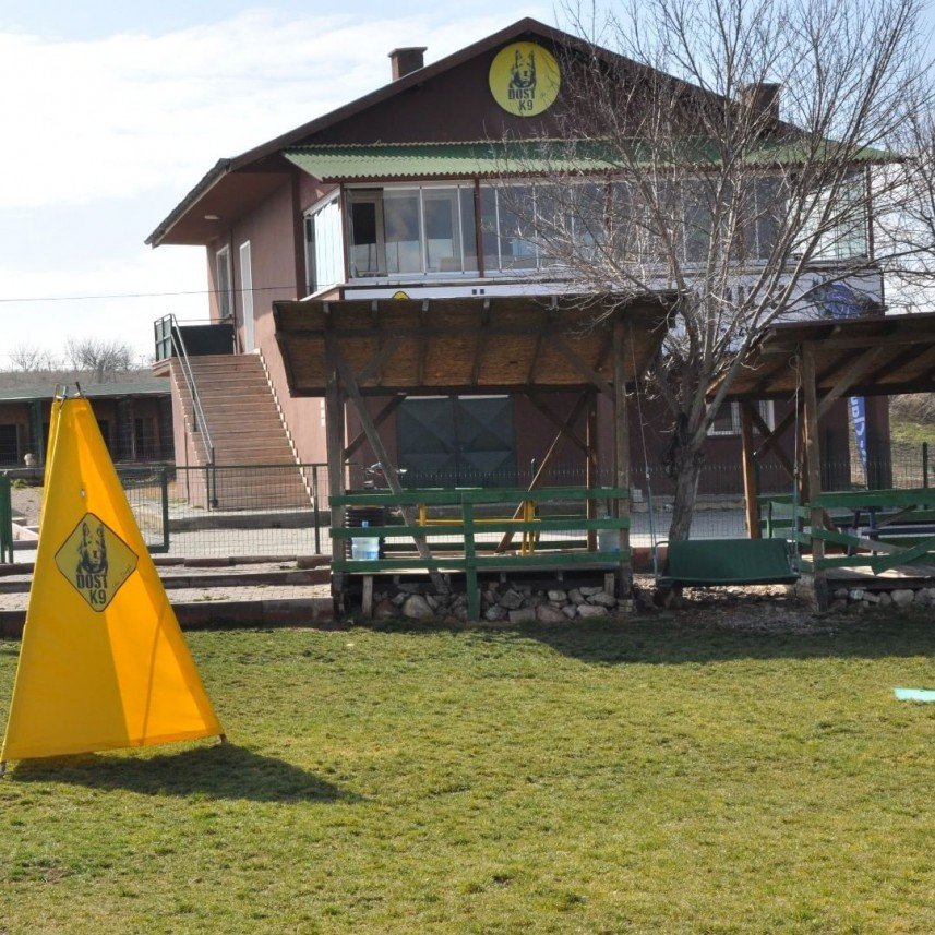 Star Köpek Eğitim Okulu