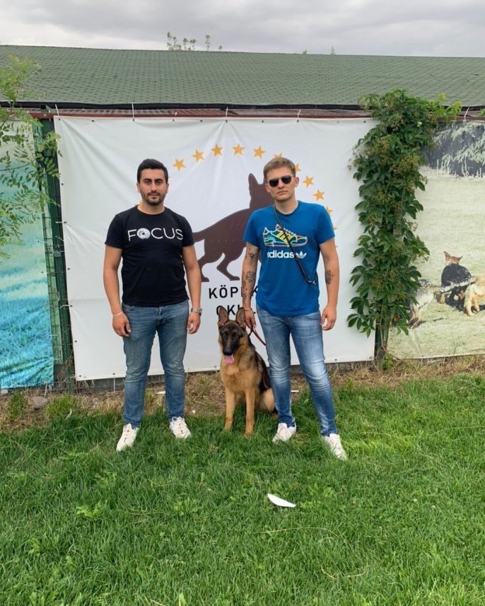 Star Köpek Eğitim Okulu