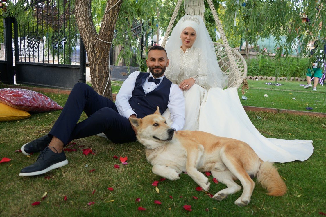 Studio Tatlı Telaşe