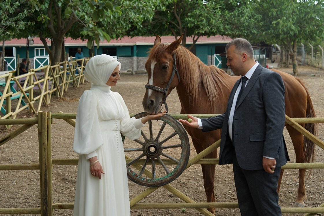 Studio Tatlı Telaşe