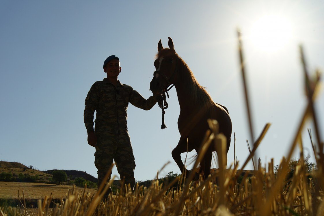 Studio Tatlı Telaşe