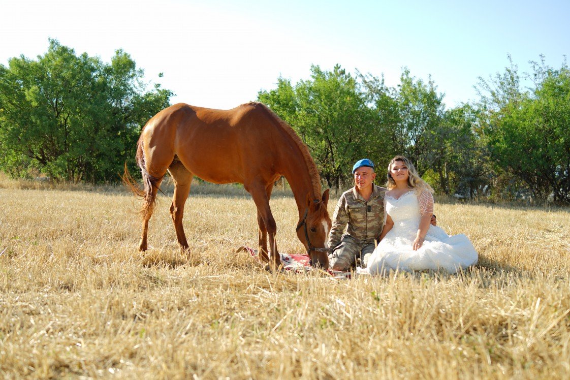 Studio Tatlı Telaşe