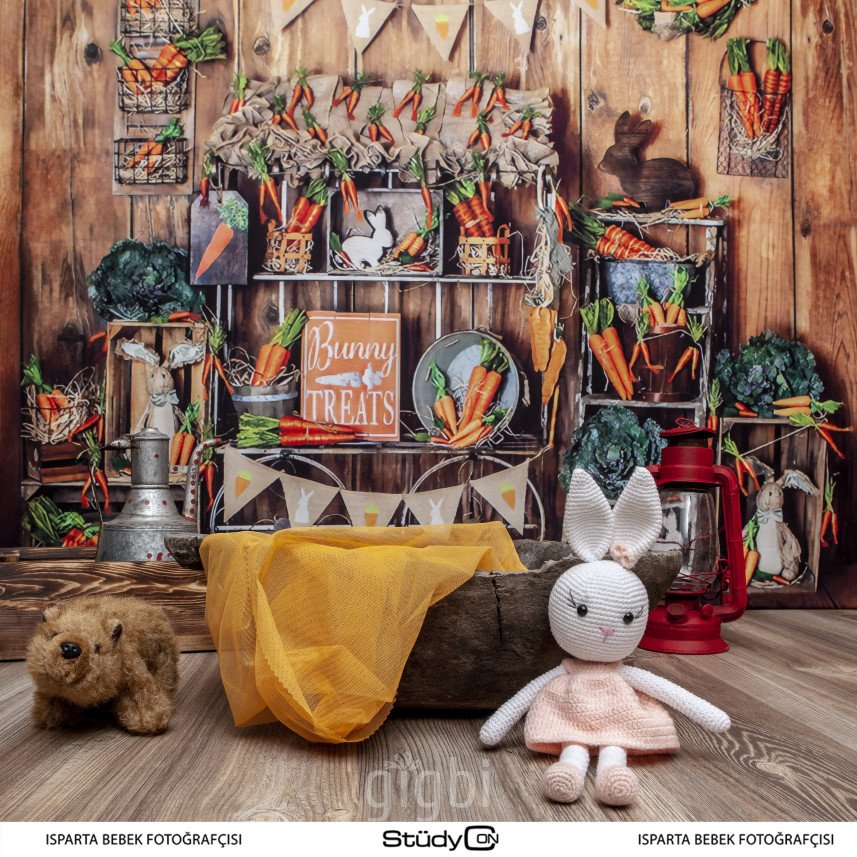 STÜDYO ON  Isparta Bebek Fotoğrafçısı