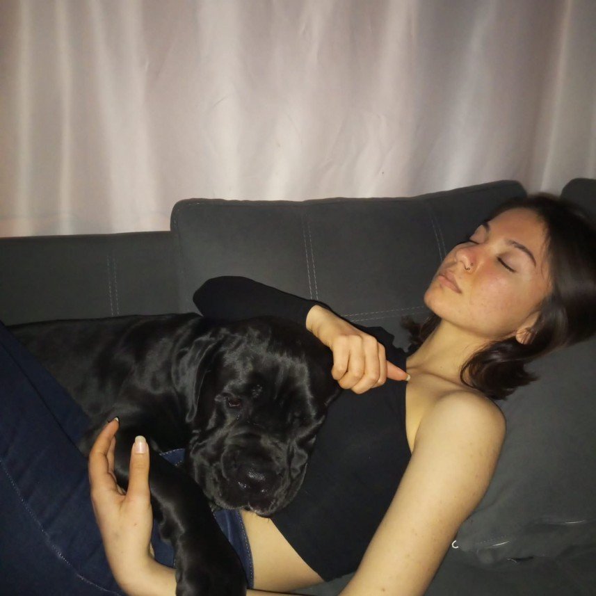 Sude Özen
