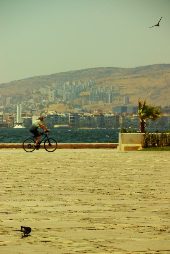 Sude Uyanık