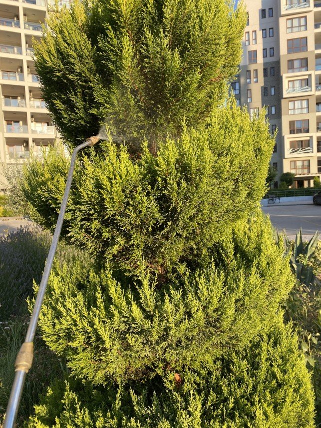 Süleyman Utku Gümeli