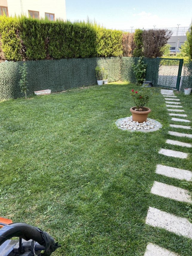 Süleyman Utku Gümeli