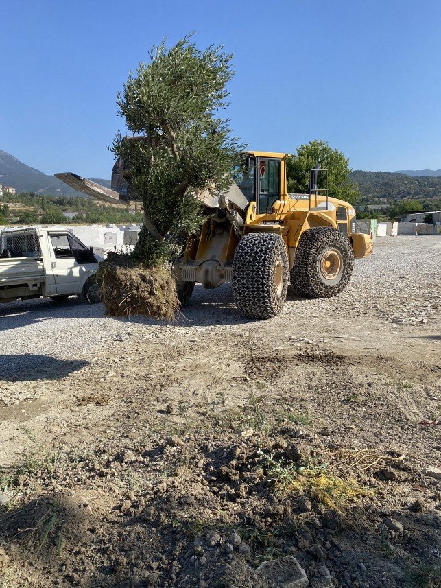 Süleyman Utku Gümeli