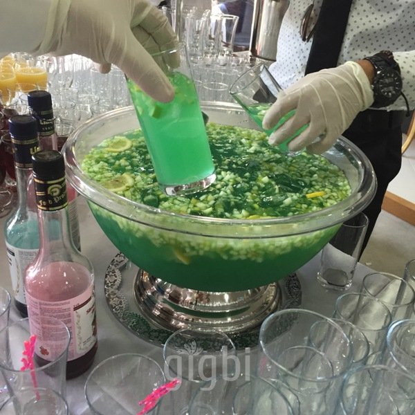 Svm Organizasyon & Catering