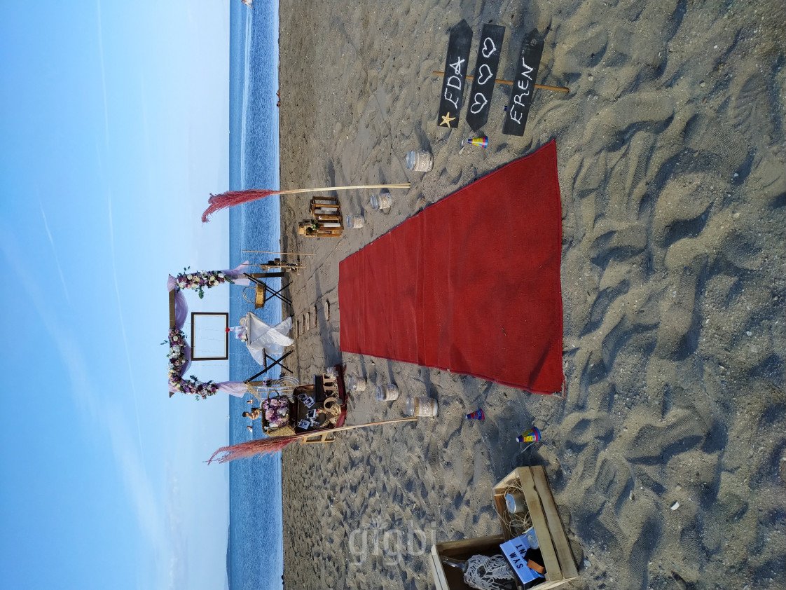 S. EVENTS & ORGANIZATION