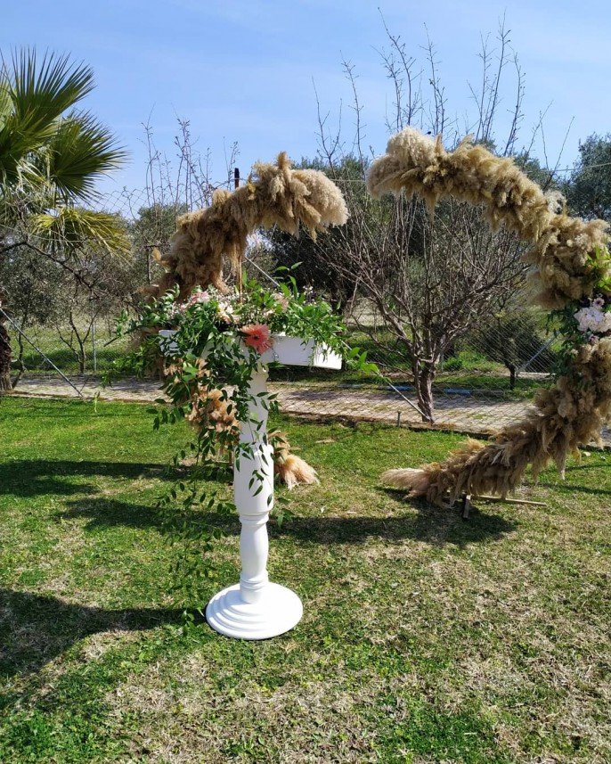 S. EVENTS & ORGANIZATION