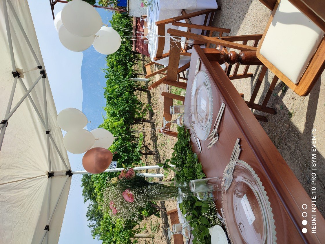 S. EVENTS & ORGANIZATION