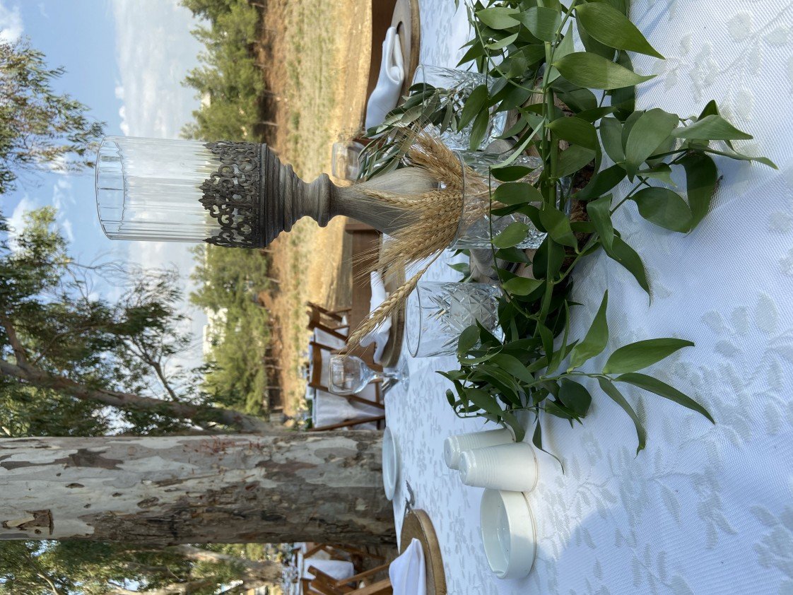 S. EVENTS & ORGANIZATION