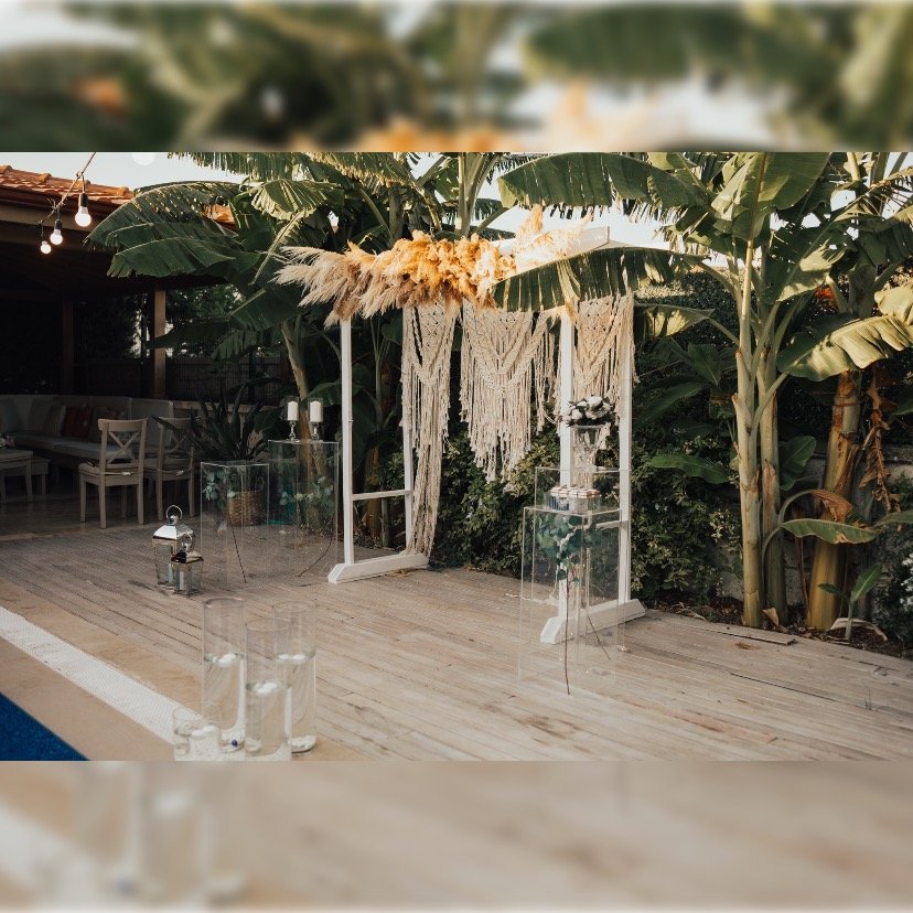 S. EVENTS & ORGANIZATION