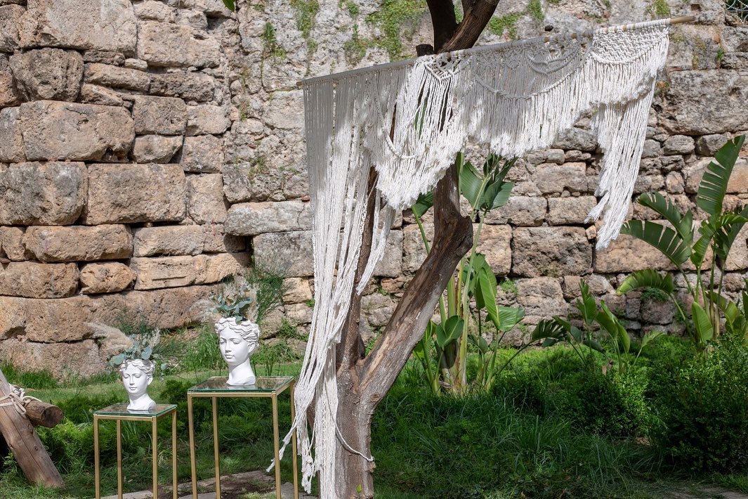 T&G Organization and Event