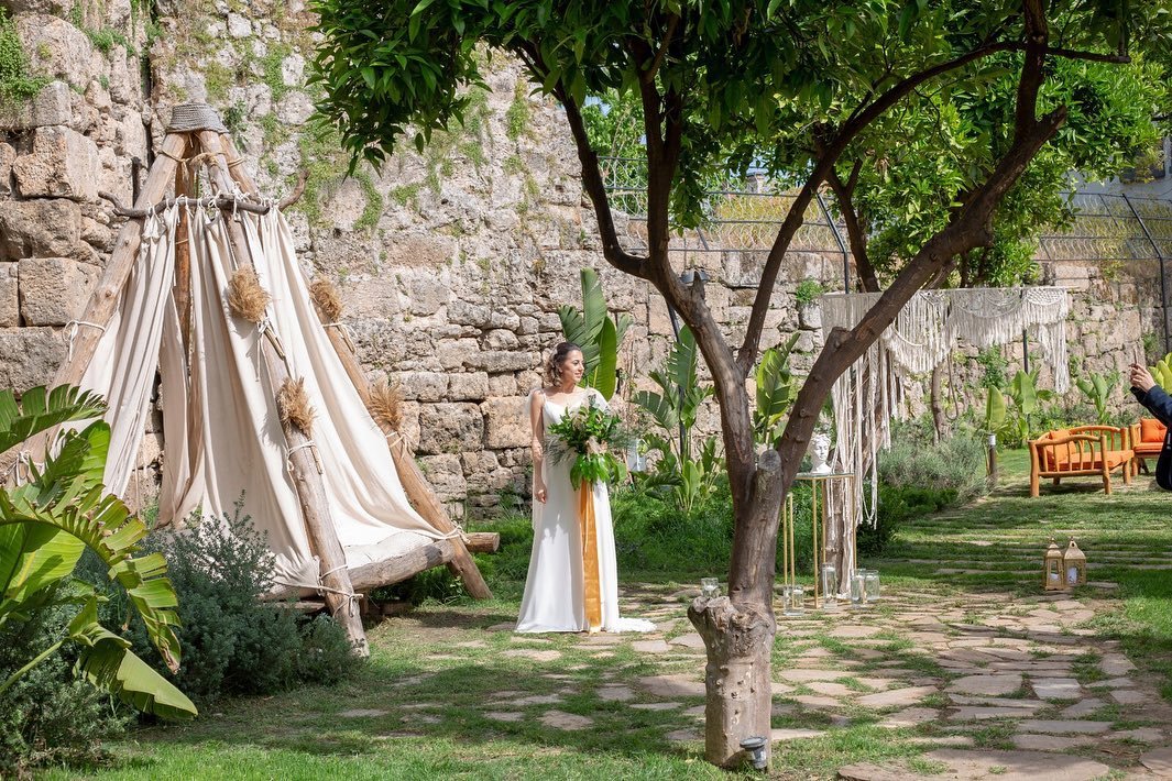 T&G Organization and Event