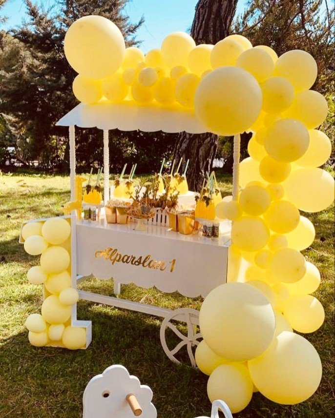 T&G Organization and Event