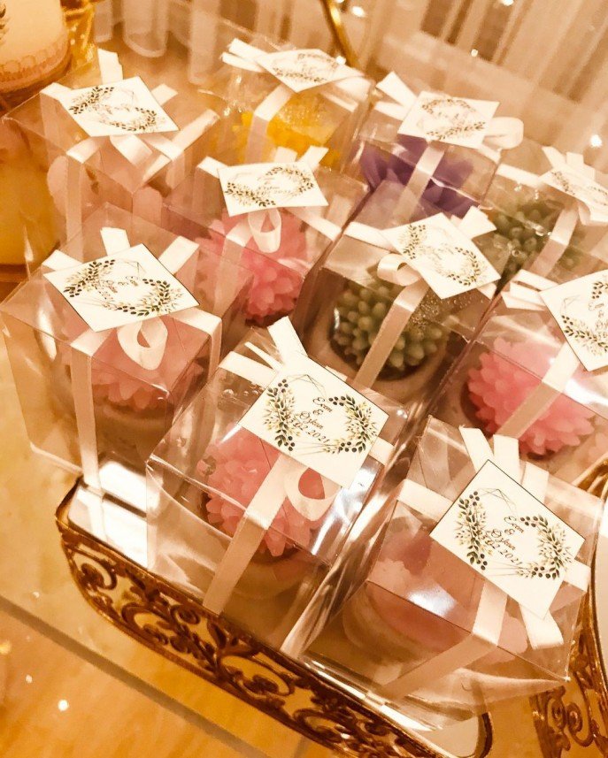 T&G Organization and Event