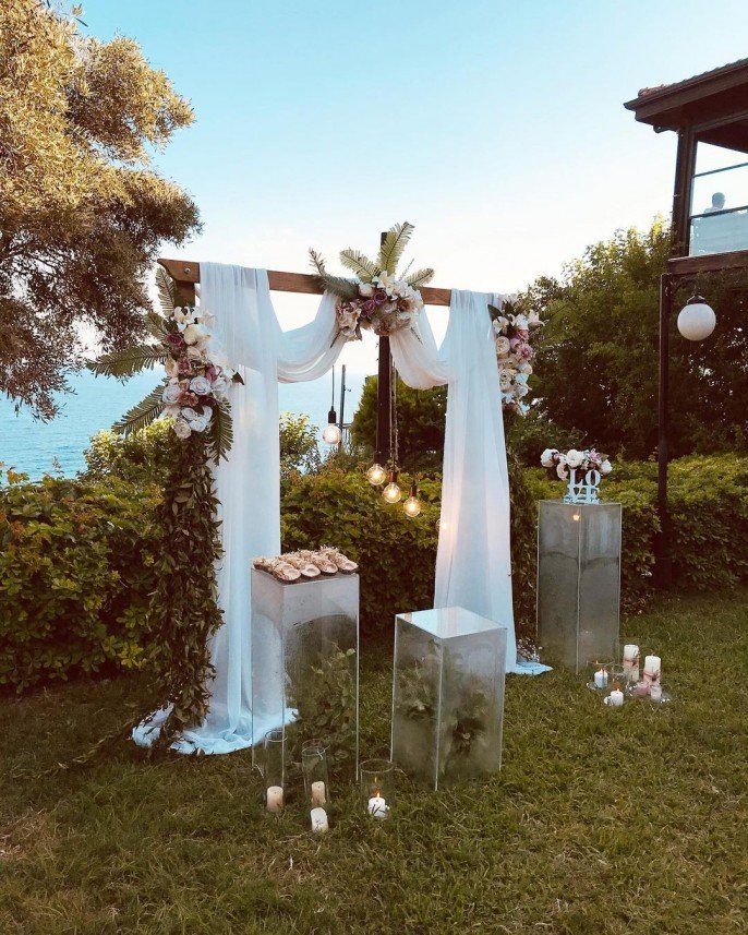 T&G Organization and Event