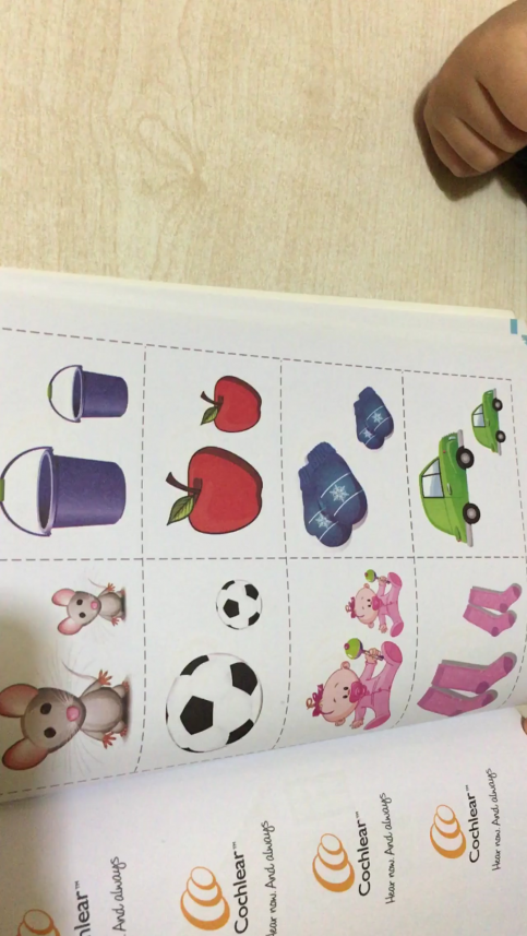 Tanem Ustaahmetoğlu