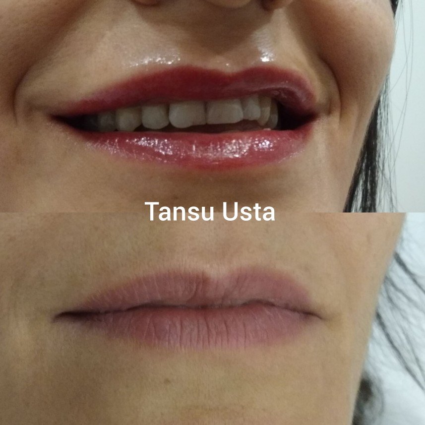 Tansu Usta