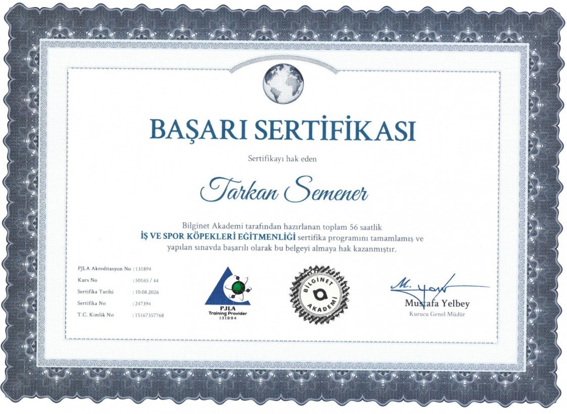 Tarkan Semener