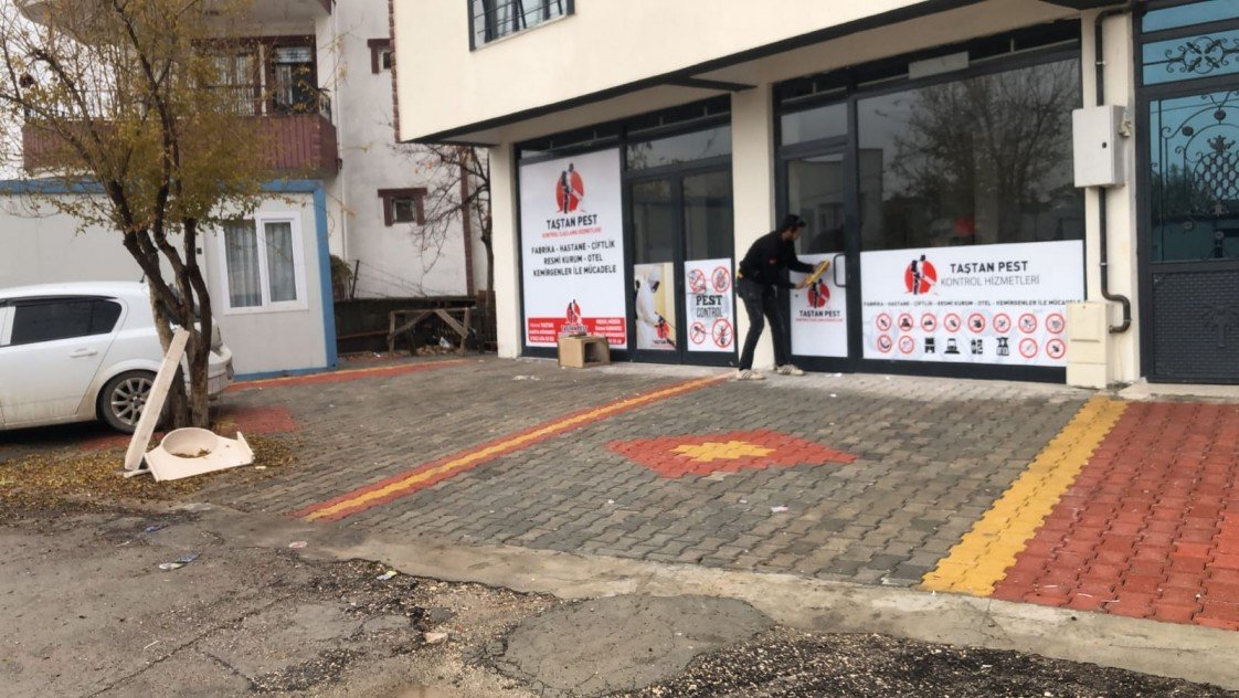 Taştan İlaçlama