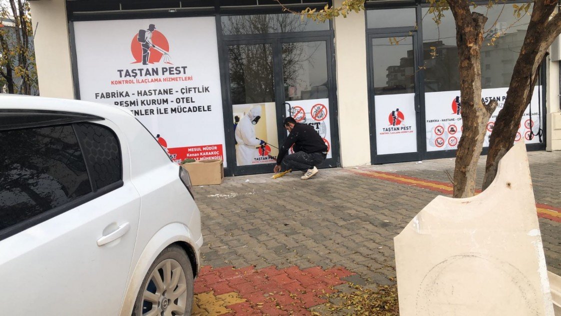 Taştan İlaçlama