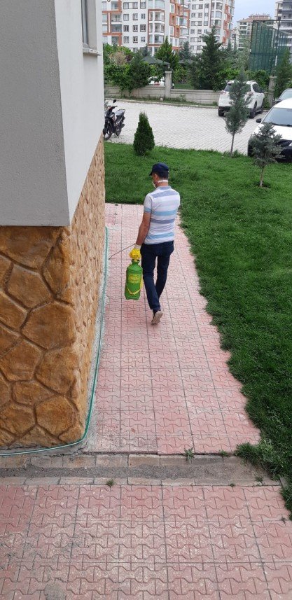 Taştan İlaçlama