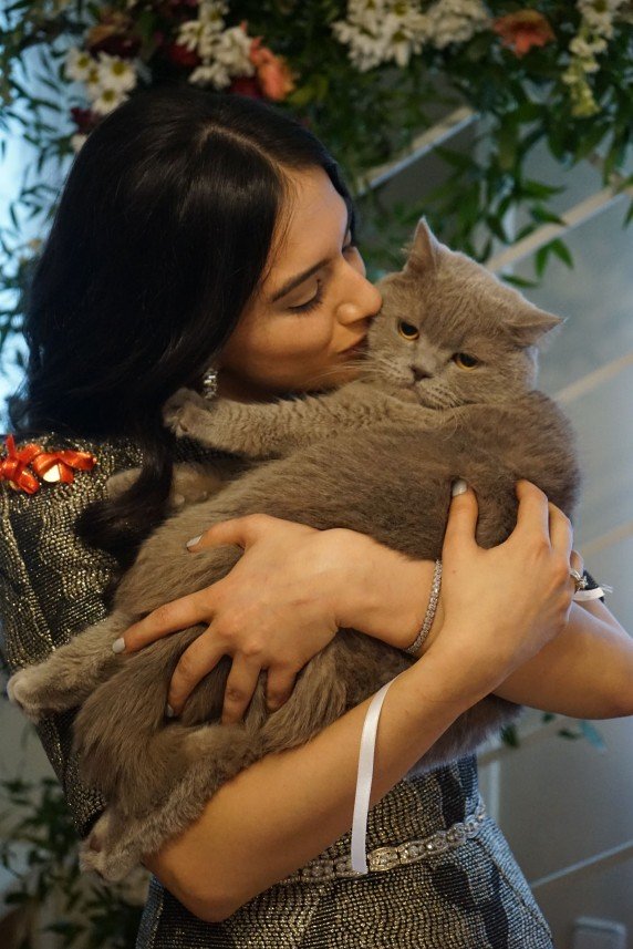 Tatlı Telaşe Organizasyon