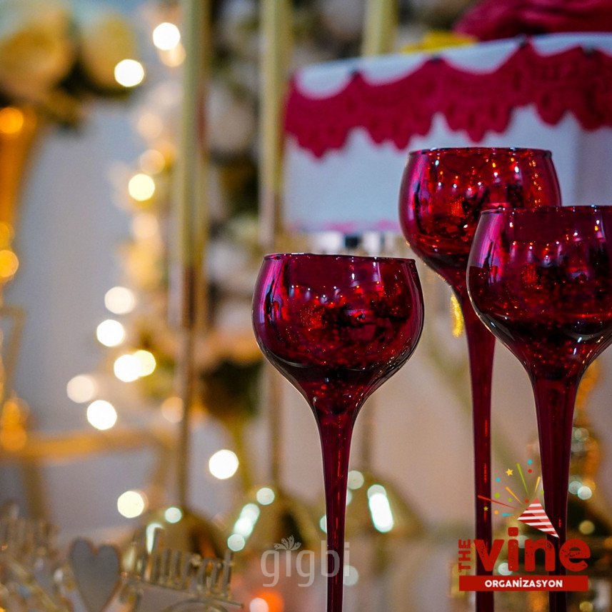 The Vine Organizasyon