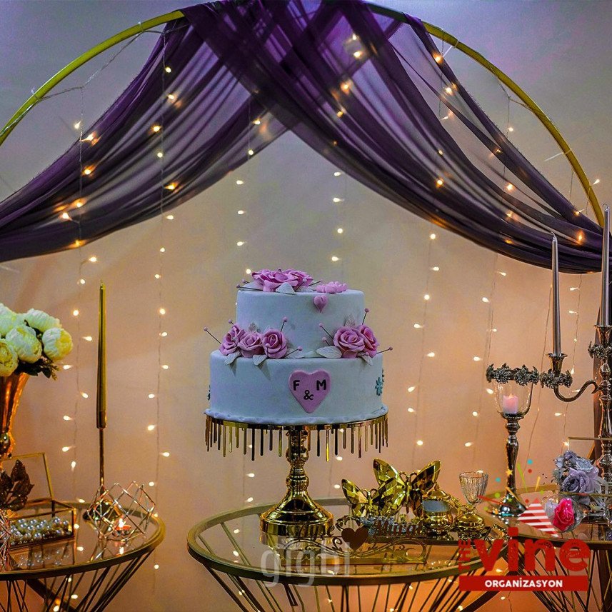 The Vine Organizasyon