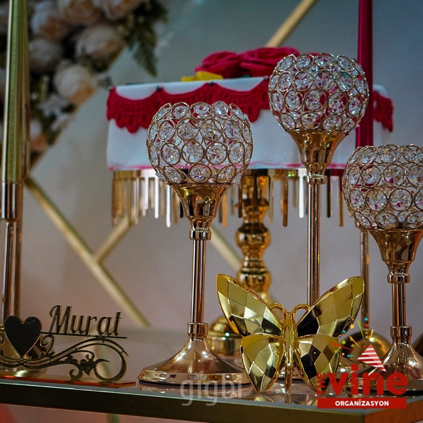 The Vine Organizasyon