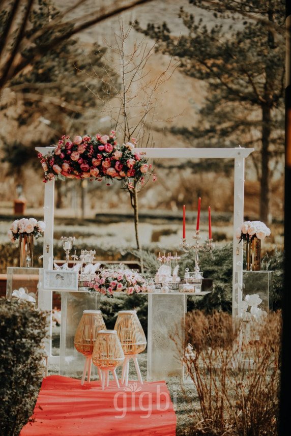 The Vine Organizasyon