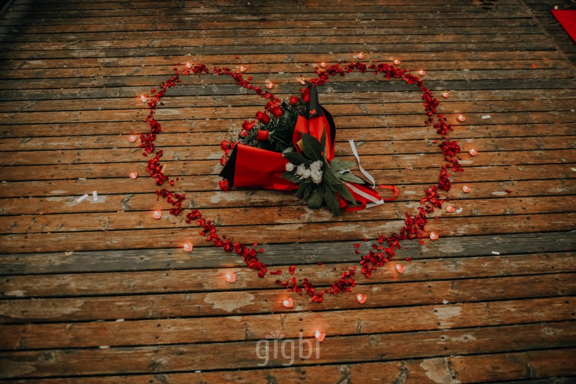 The Vine Organizasyon