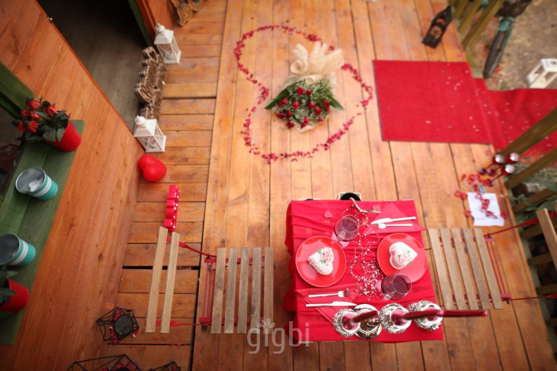 The Vine Organizasyon