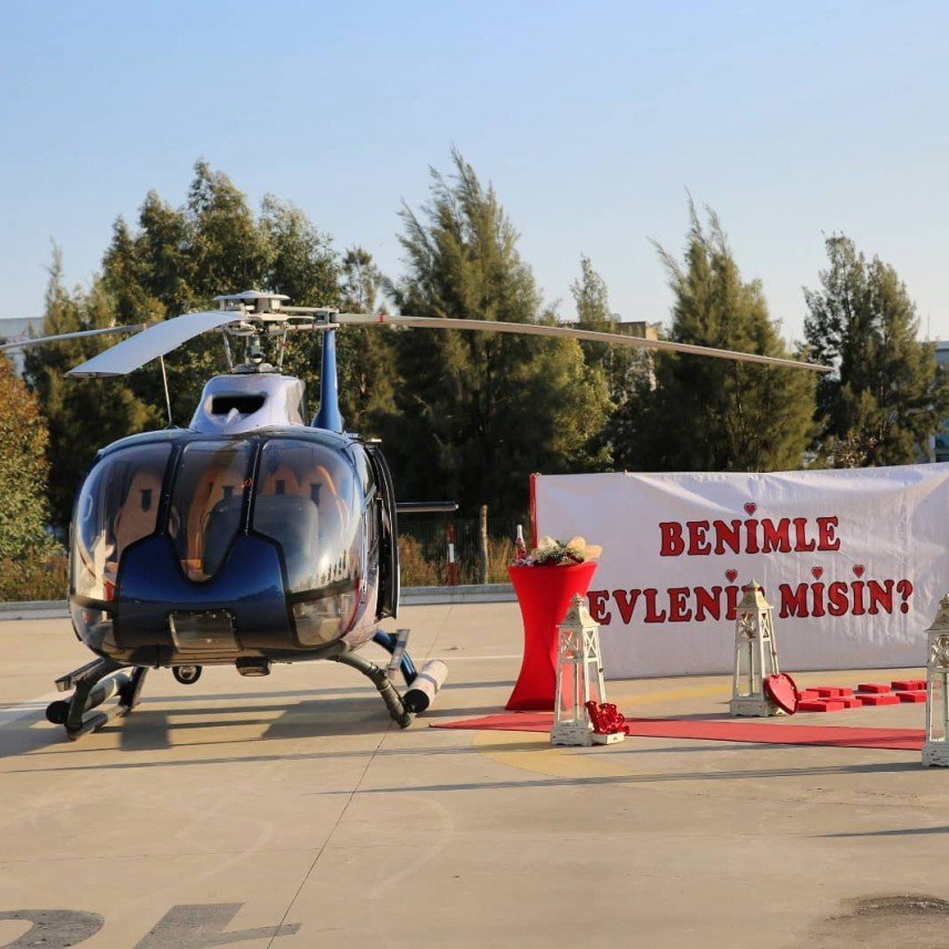 The Vine Organizasyon