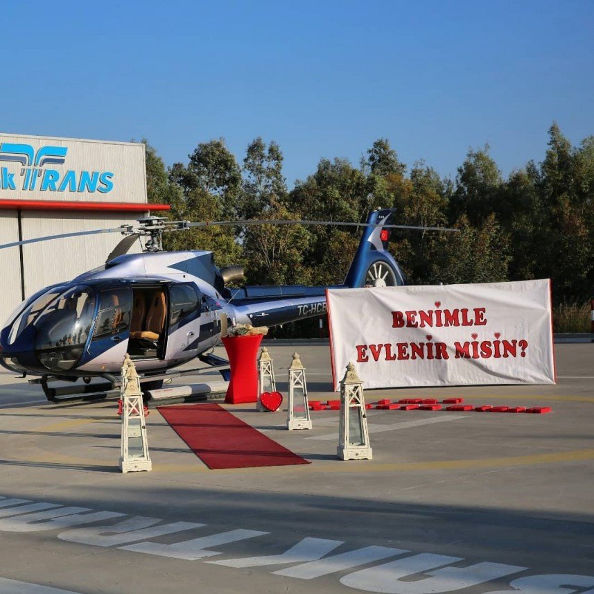 The Vine Organizasyon