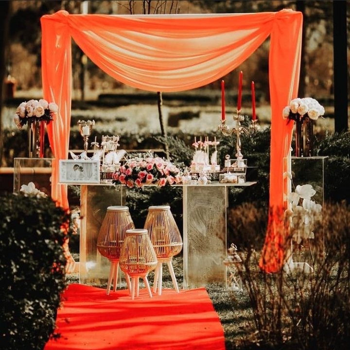 The Vine Organizasyon