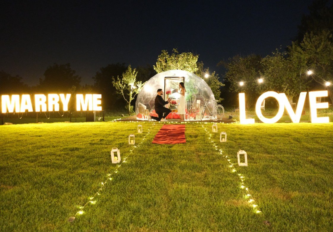 The Vine Organizasyon