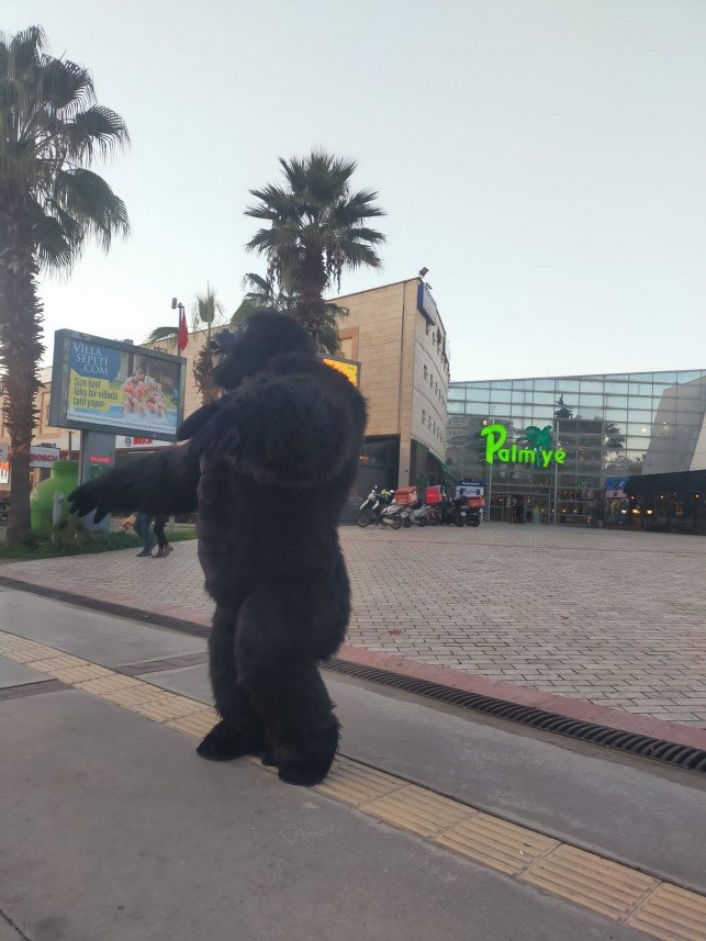 Tomacan Organizasyon