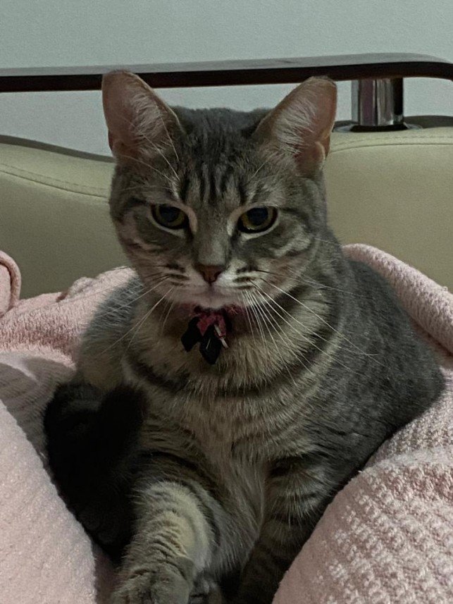 Tuğba Sudenaz  Özdemir