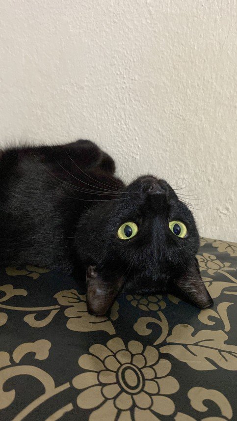 Tuğba Sudenaz  Özdemir