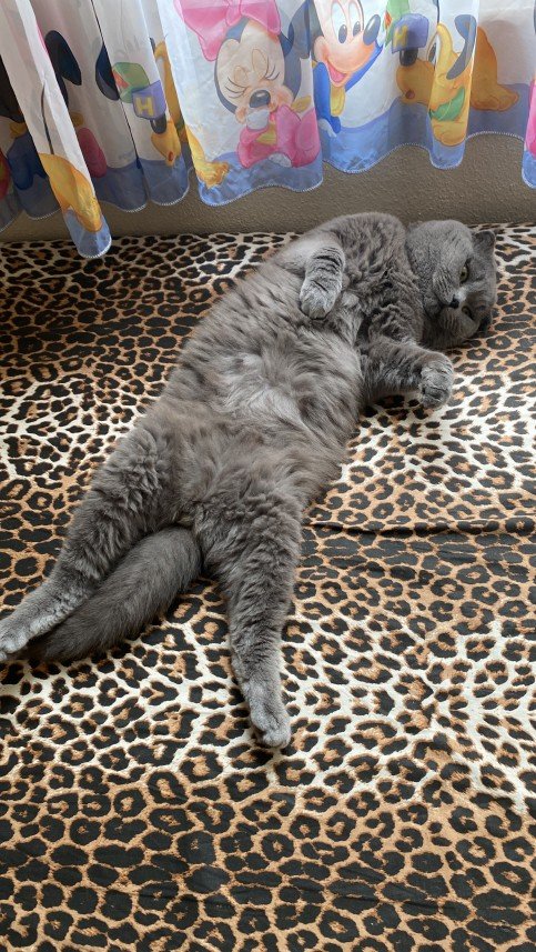 Tuğba Sudenaz  Özdemir