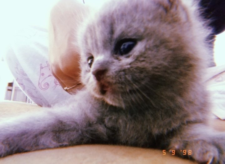 Tuğba Sudenaz  Özdemir