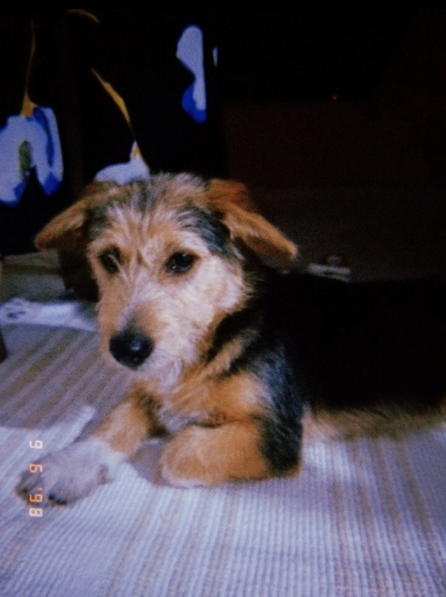 Tuğba Sudenaz  Özdemir