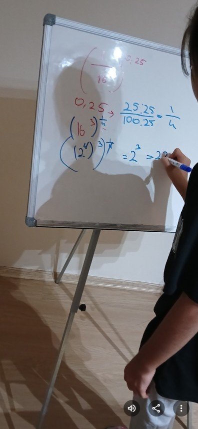 Tülay Meniz